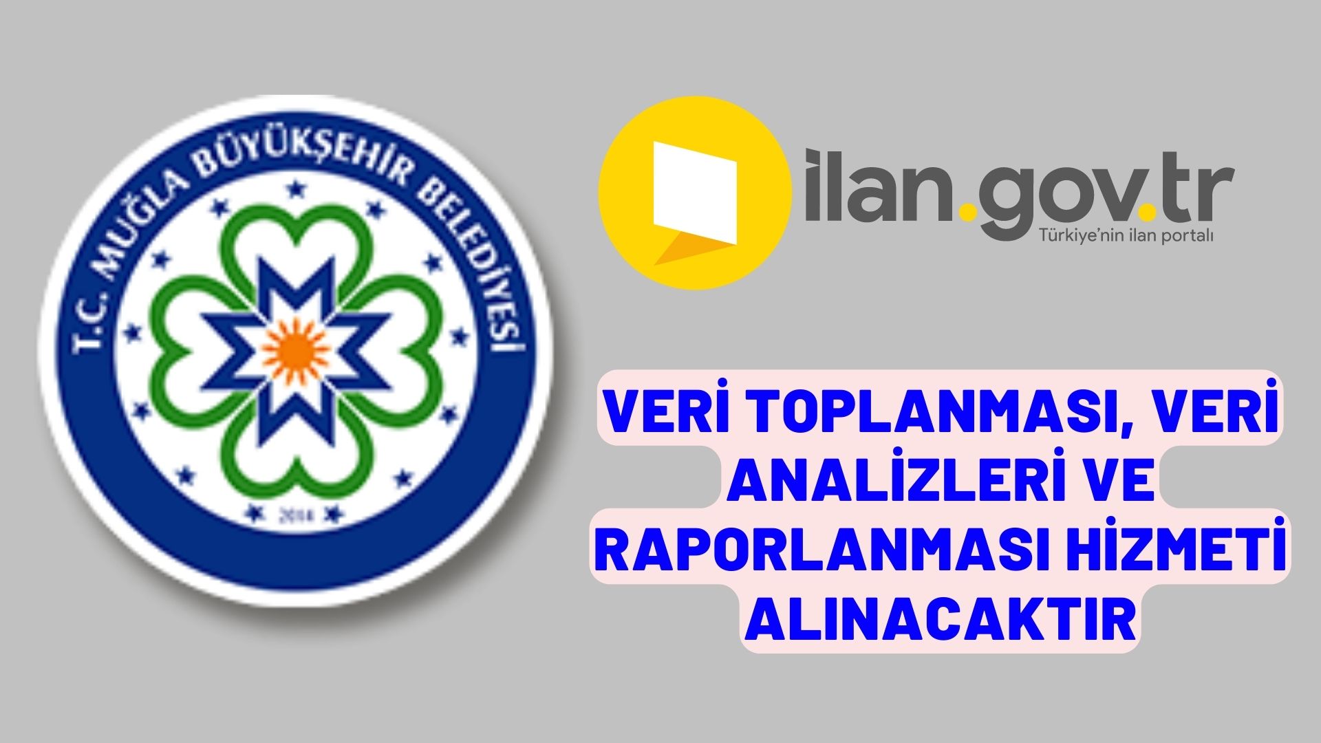 Veri toplanması, veri analizleri ve raporlanması hizmeti alınacaktır