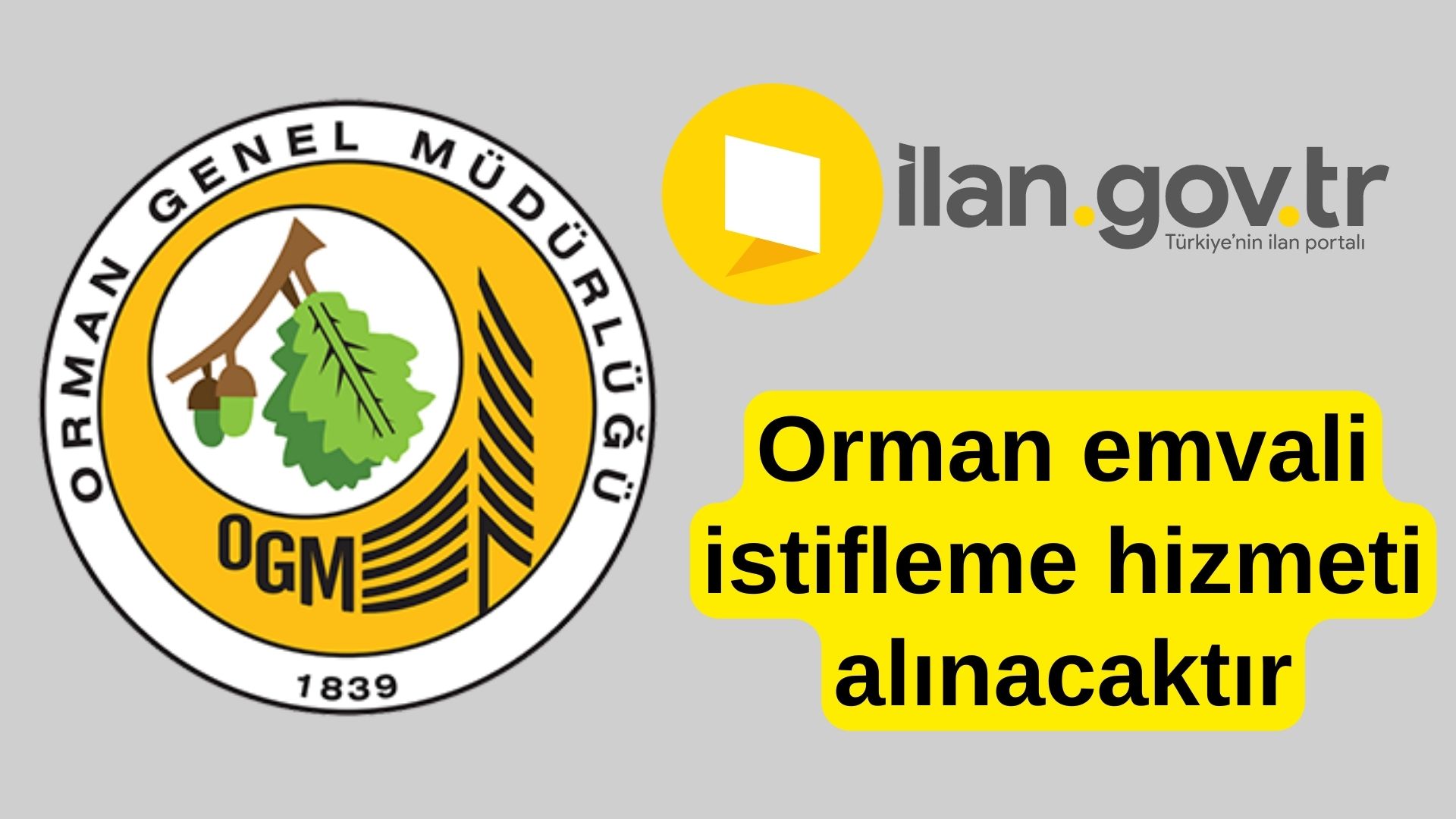 Orman emvali istifleme hizmeti alınacaktır