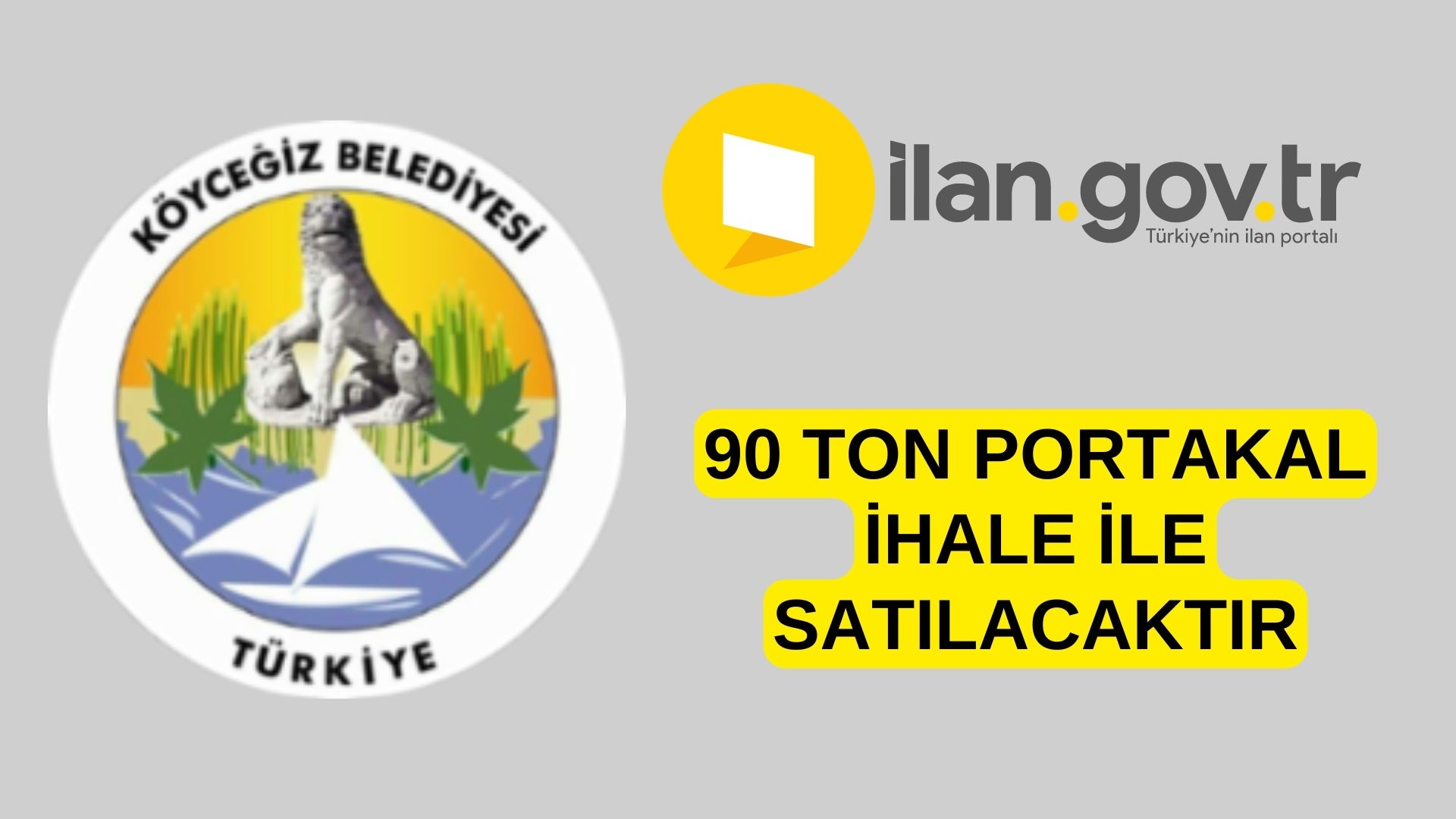 90 ton portakal ihale ile satılacaktır