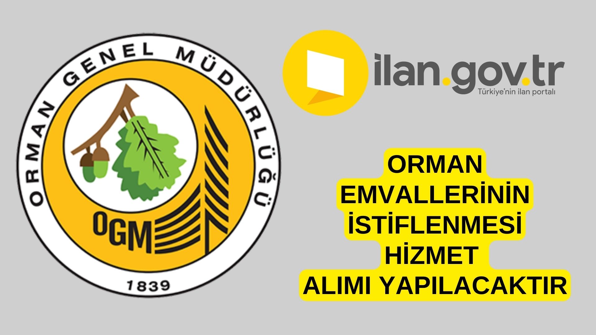 Orman emvallerinin istiflenmesi hizmet alımı yapılacaktır