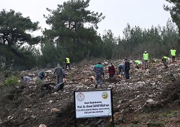 Davutoğlu Hatıra Ormanı