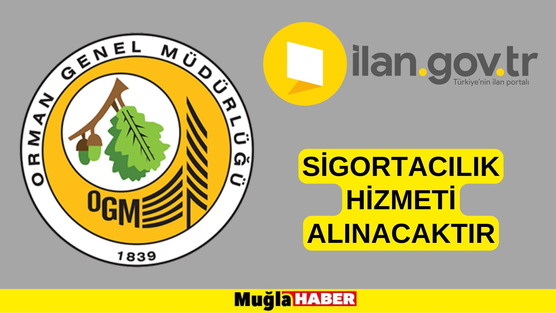 Sigortacılık hizmeti alınacaktır