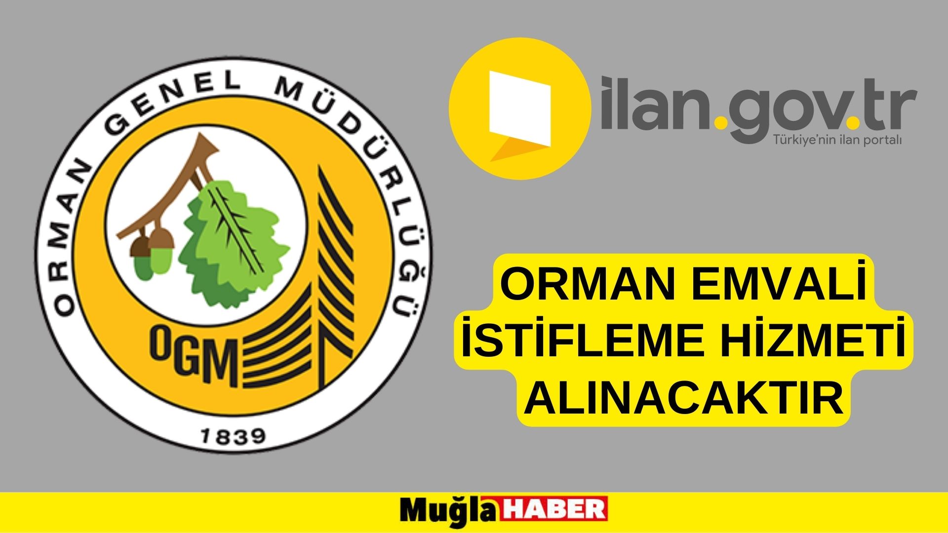 Orman emvali istifleme hizmeti alınacaktır