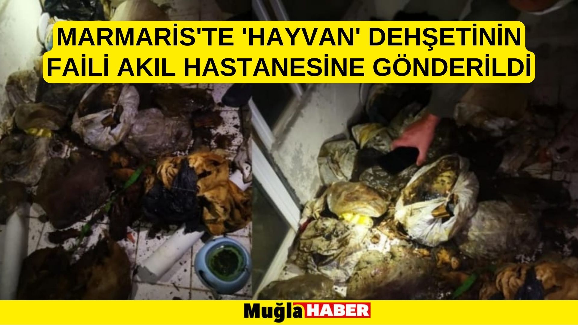 Marmaris'te 'Hayvan' dehşetinin faili akıl hastanesine gönderildi