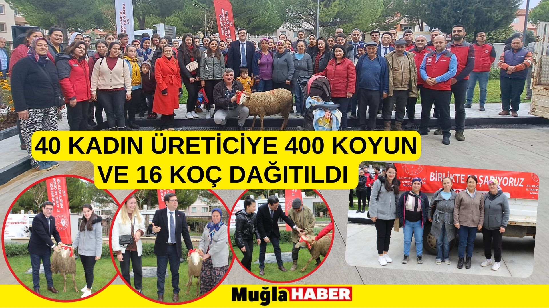 40 KADIN ÜRETİCİYE 400 KOYUN VE 16 KOÇ DAĞITILDI