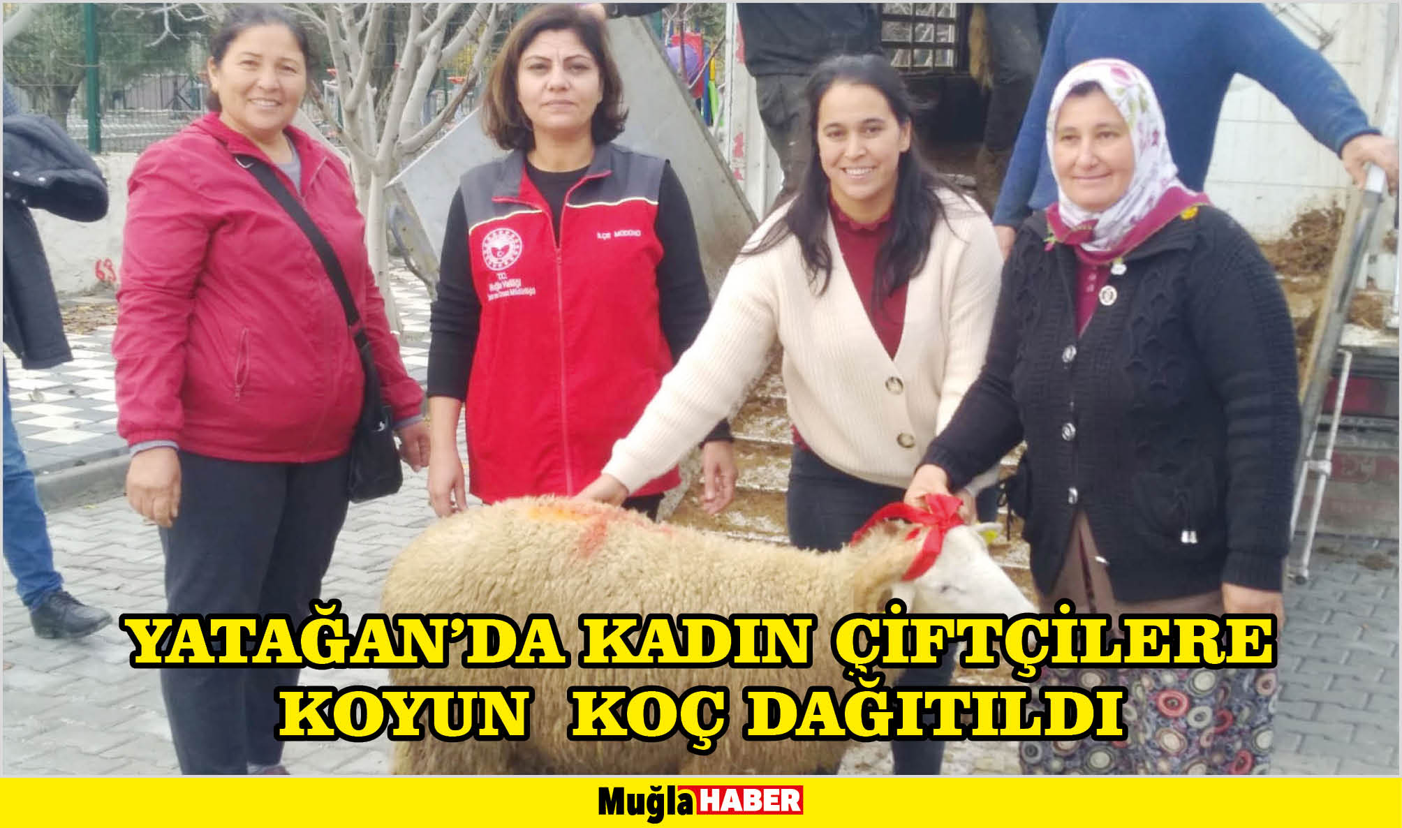 YATAĞAN’DA KADIN ÇİFTÇİLERE KOYUN  KOÇ DAĞITILDI