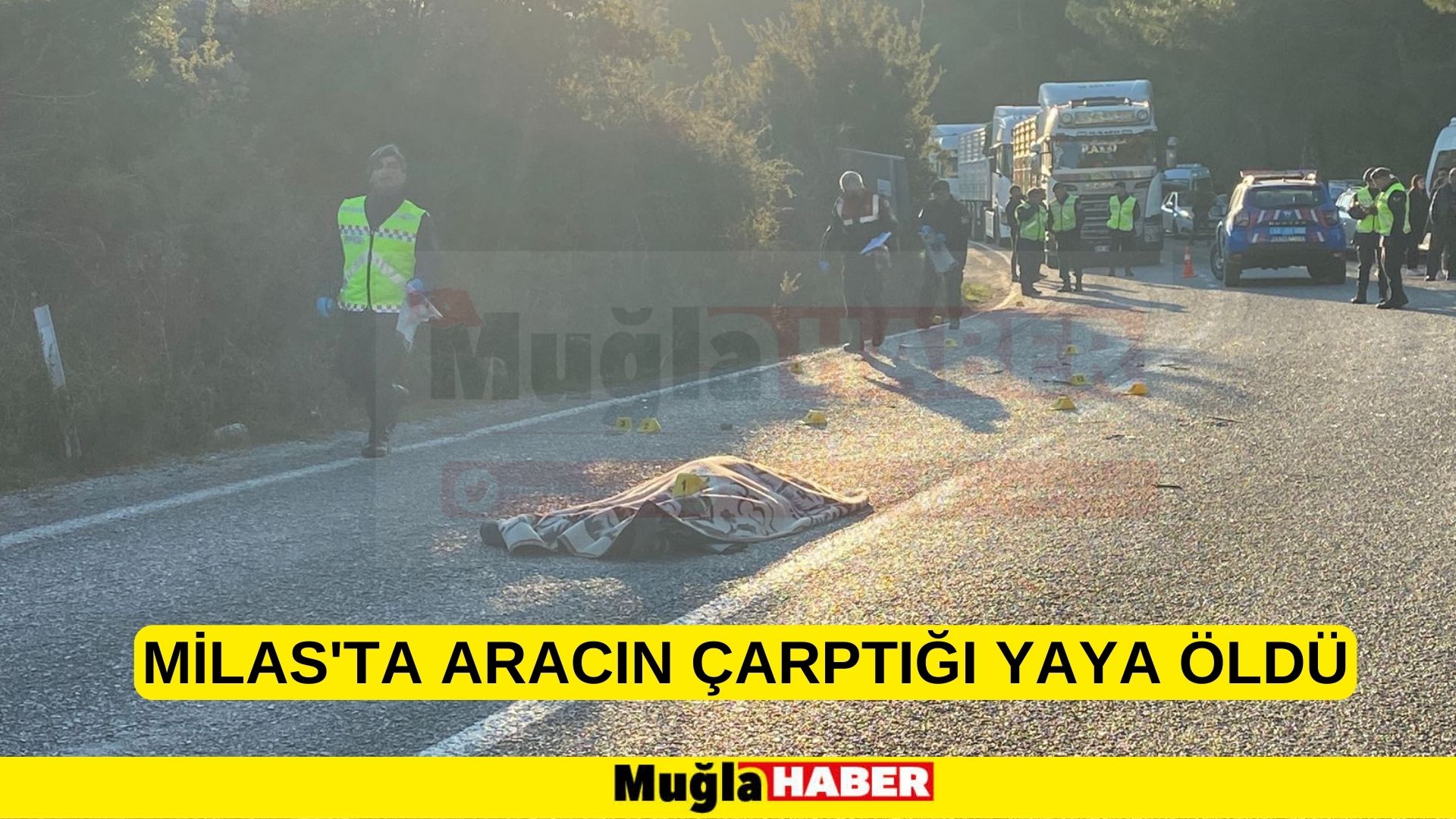 Milas'ta aracın çarptığı yaya öldü