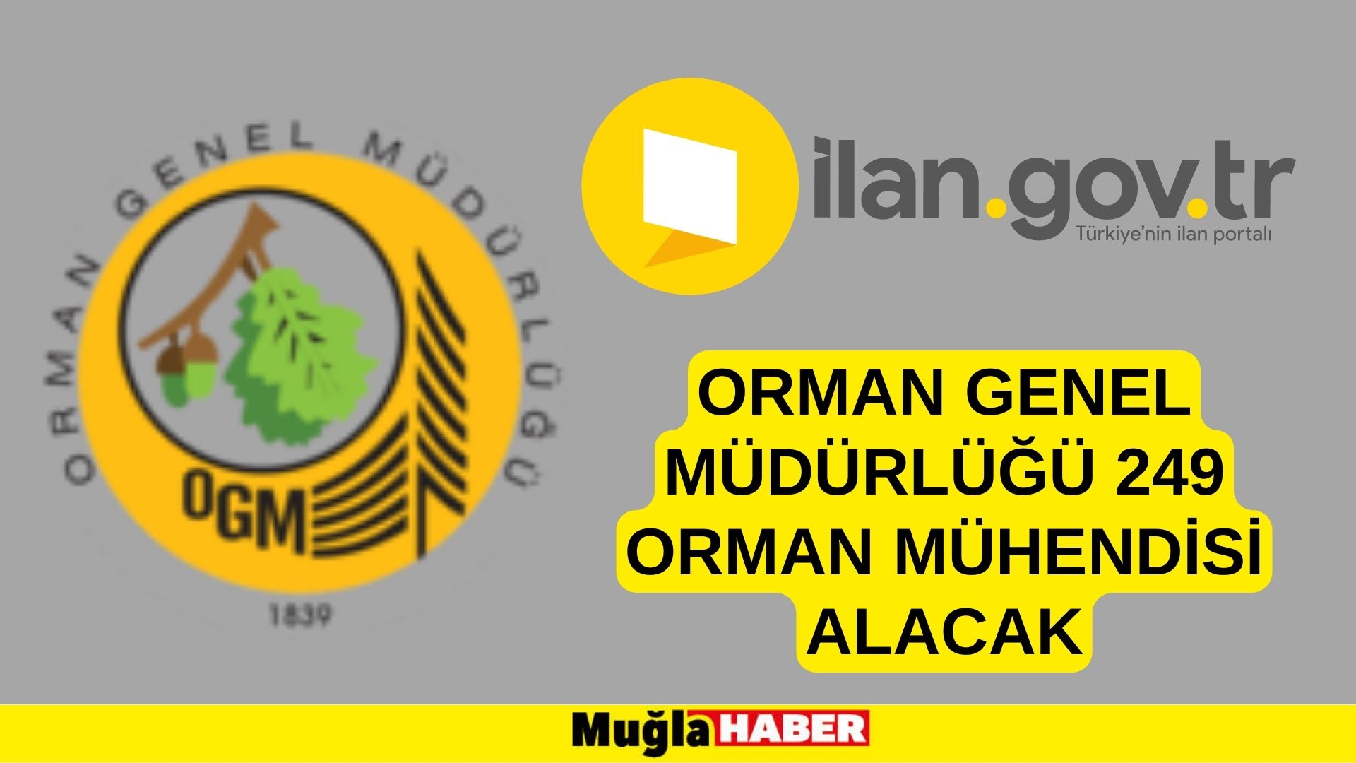 Orman Genel Müdürlüğü 249 Orman Mühendisi alacak