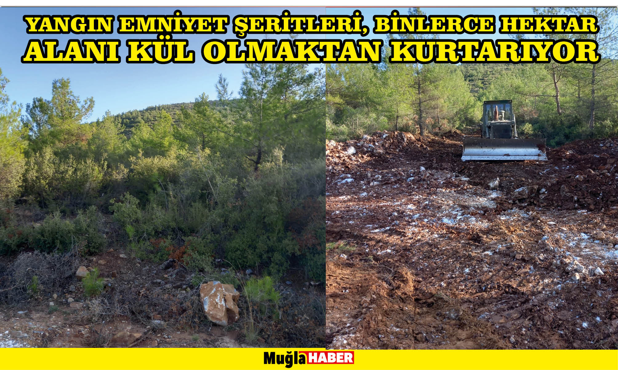 YANGIN EMNİYET ŞERİTLERİ, BİNLERCE HEKTAR ALANI KÜL OLMAKTAN KURTARIYOR