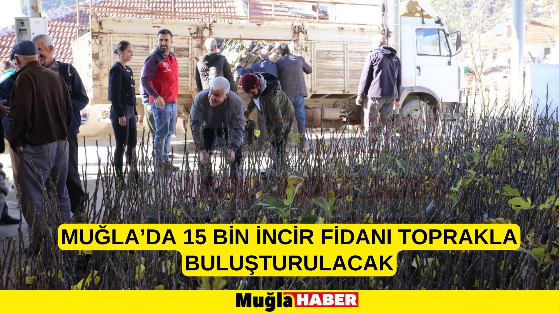 MUĞLA’DA 15 BİN İNCİR FİDANI TOPRAKLA BULUŞTURULACAK