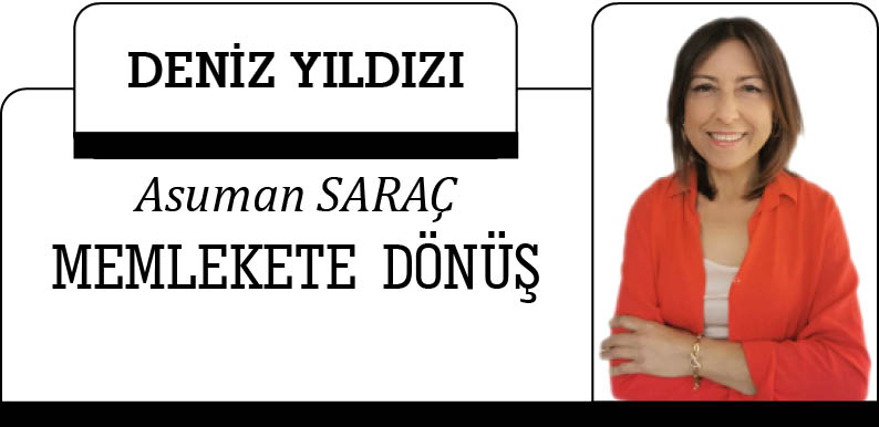 MEMLEKETE  DÖNÜŞ