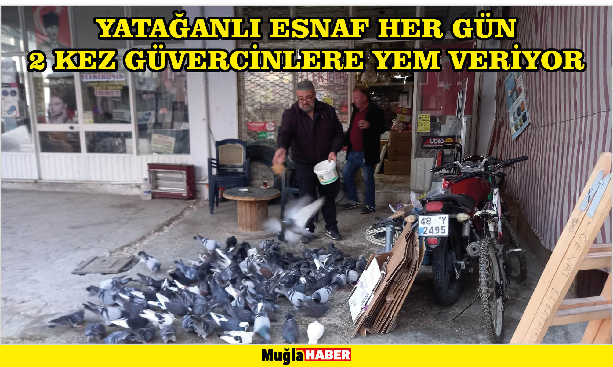 YATAĞANLI ESNAF HER GÜN 2 KEZ GÜVERCİNLERE YEM VERİYOR