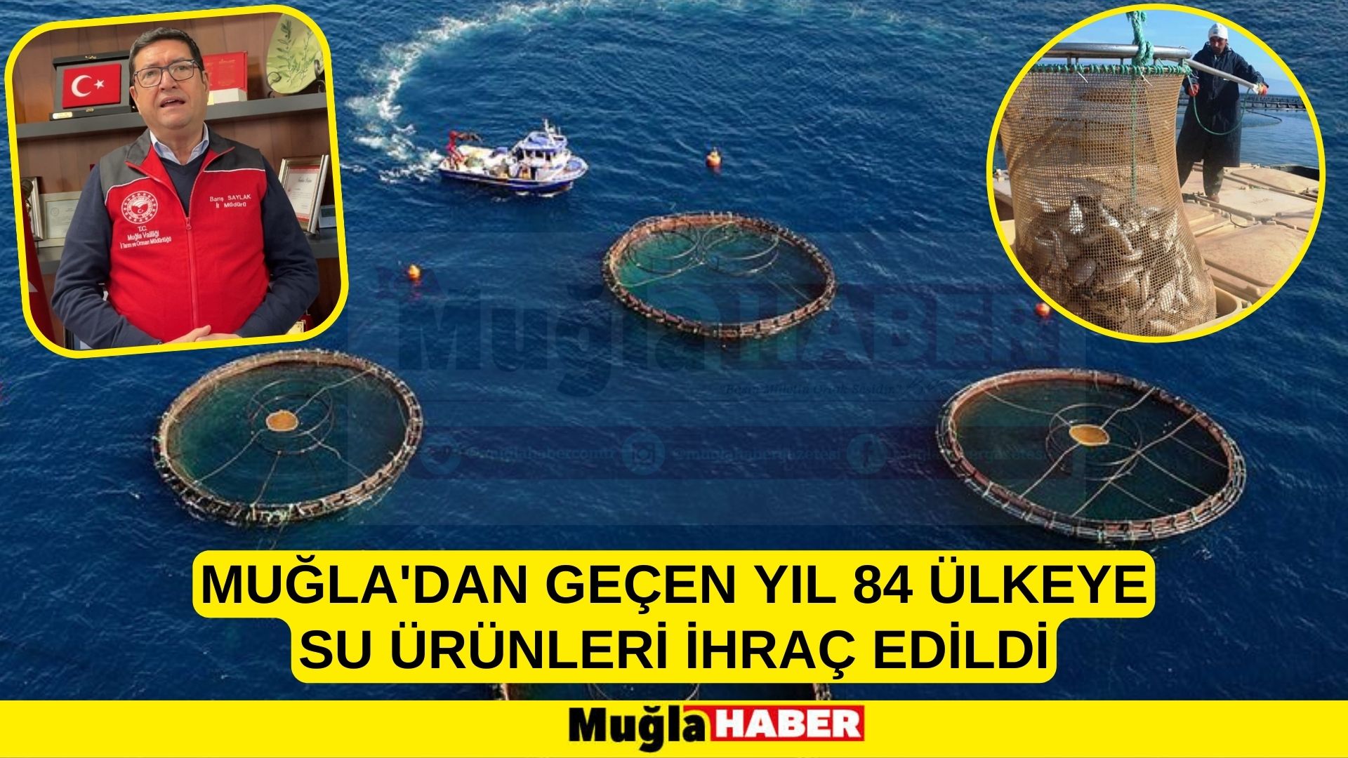 Muğla'dan geçen yıl 84 ülkeye su ürünleri ihraç edildi