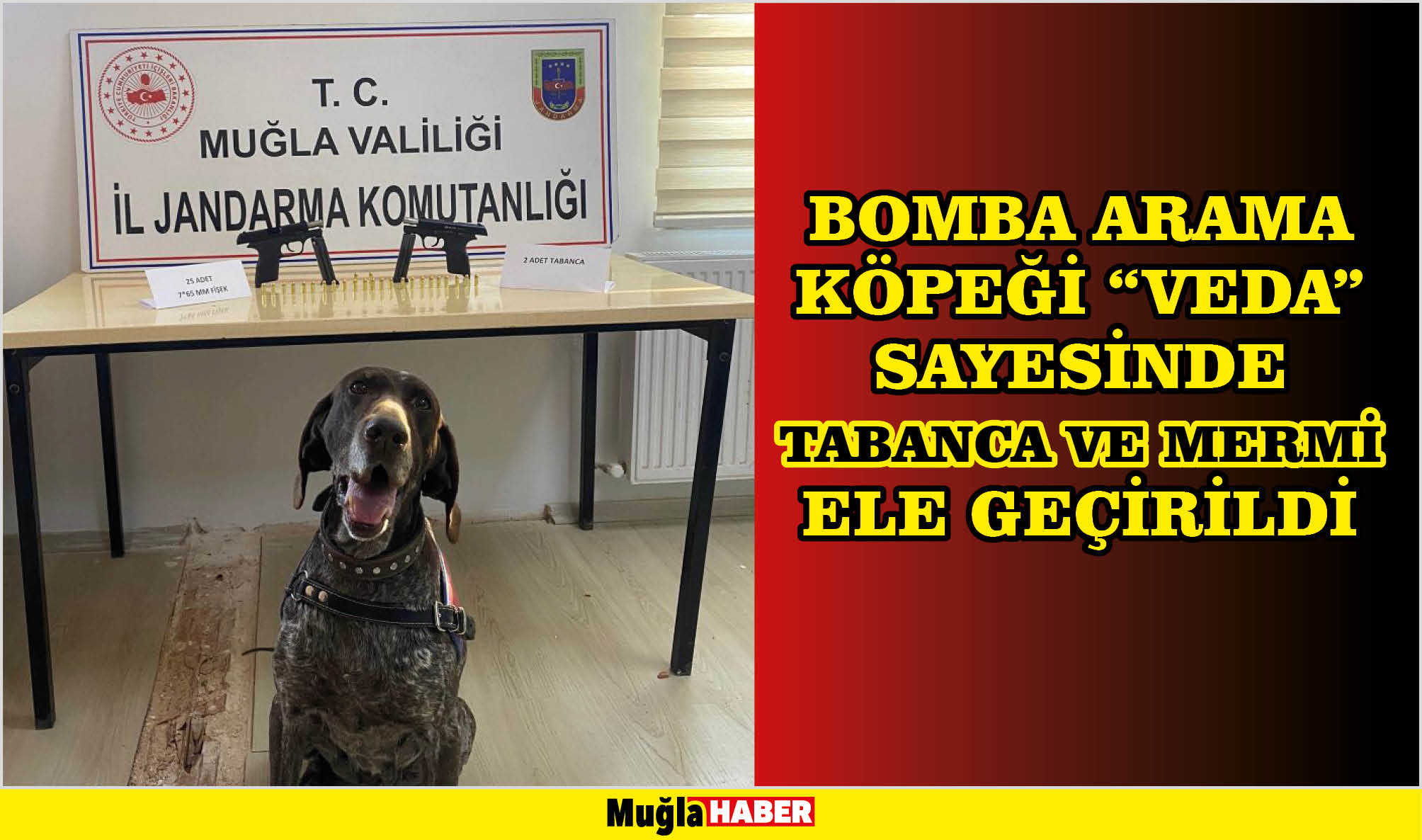 BOMBA ARAMA KÖPEĞİ “VEDA” SAYESİNDE TABANCA VE MERMİ ELE GEÇİRİLDİ