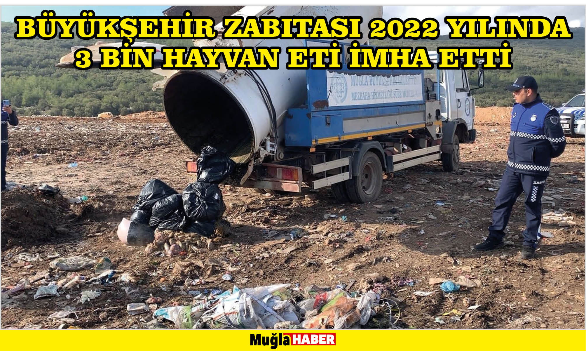 BÜYÜKŞEHİR ZABITASI 2022 YILINDA 3 BİN HAYVAN ETİ İMHA ETTİ