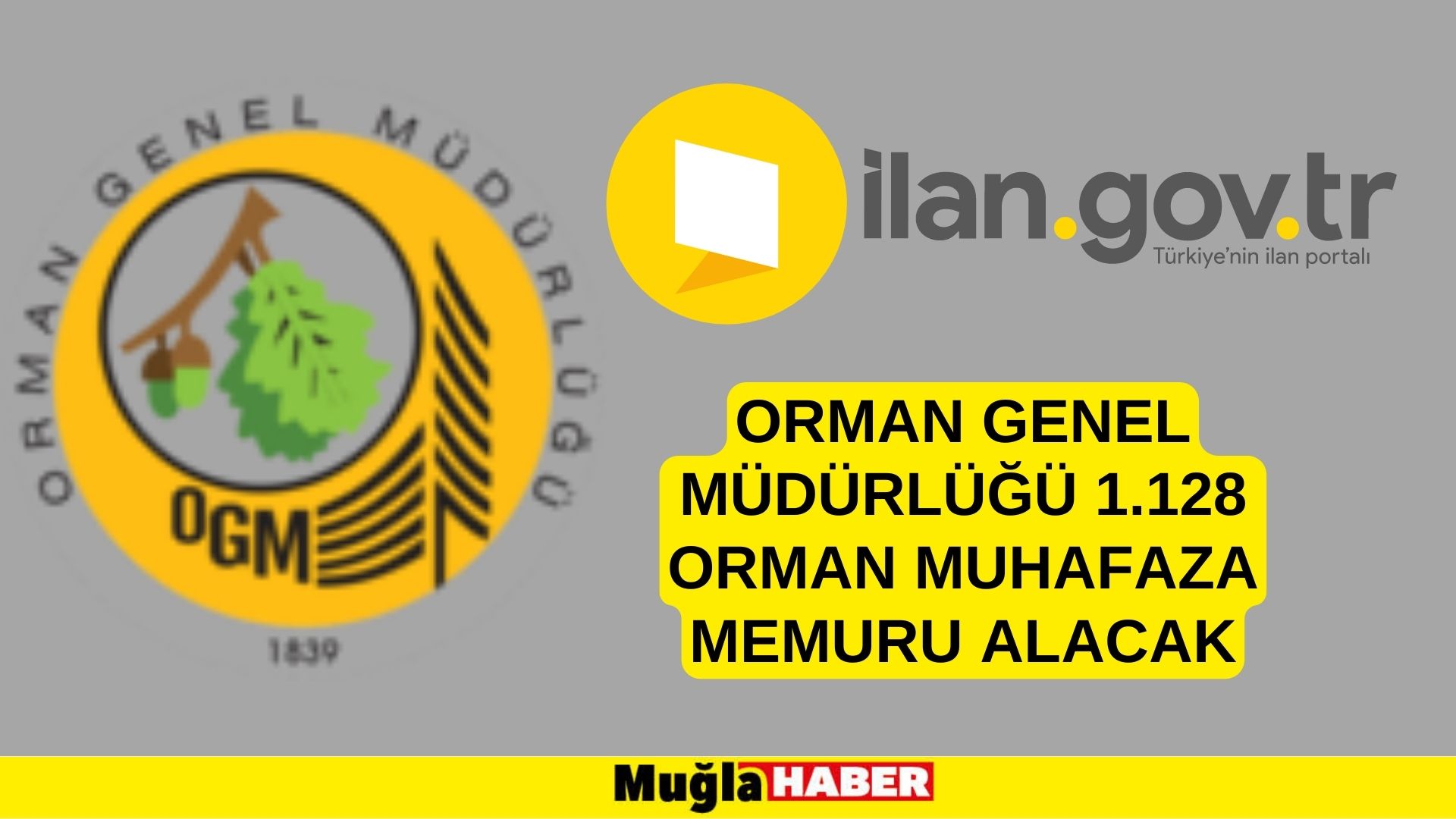 Orman Genel Müdürlüğü 1.128 orman muhafaza memuru alacak