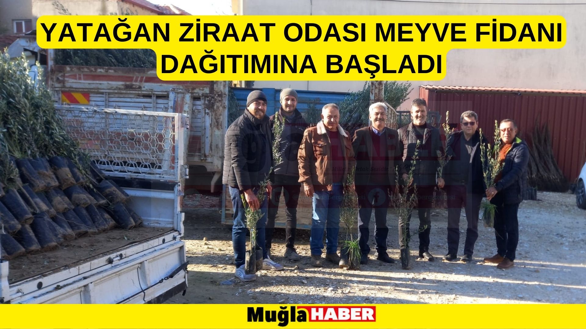 YATAĞAN ZİRAAT ODASI MEYVE FİDANI DAĞITIMINA BAŞLADI