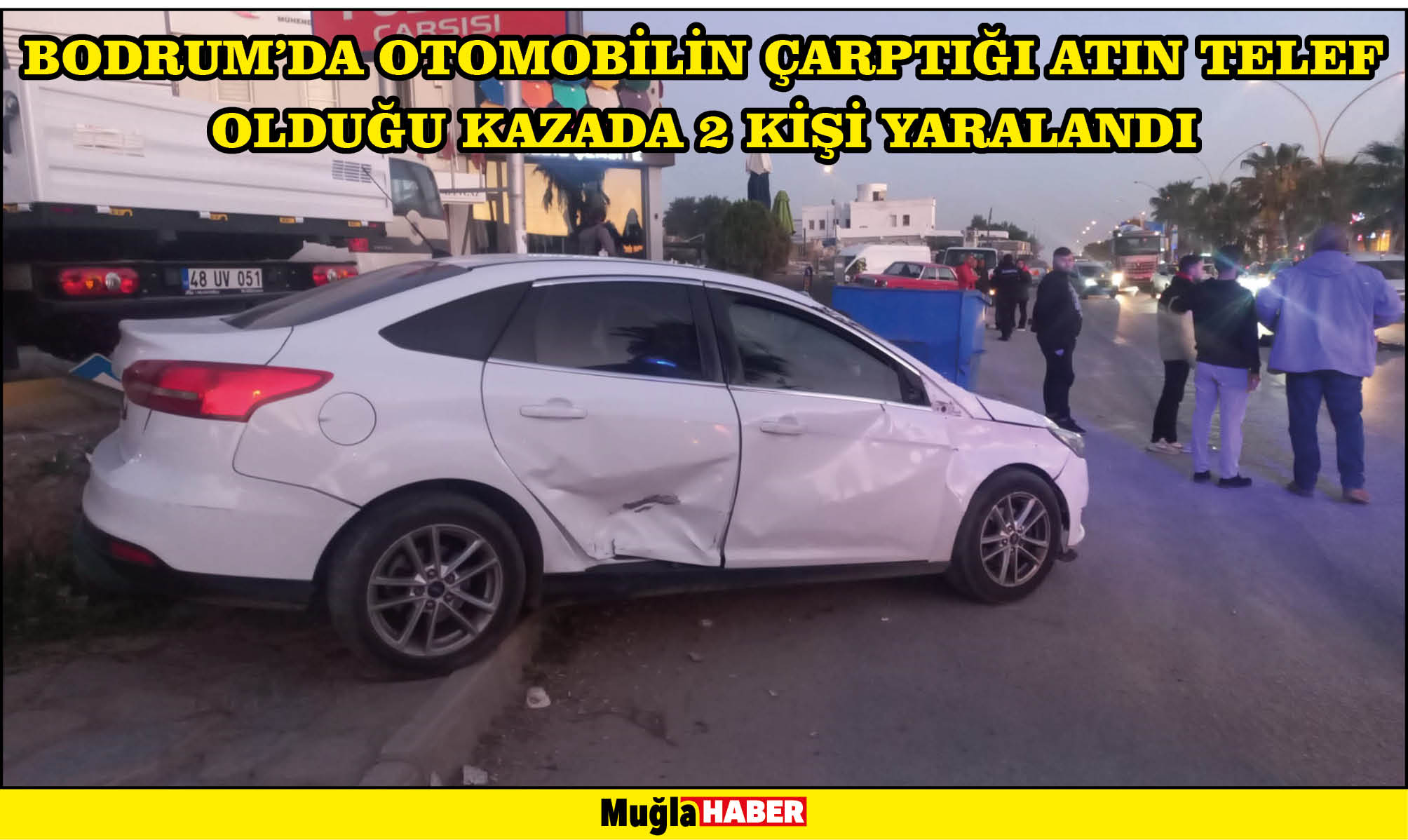 Bodrum'da otomobilin çarptığı atın telef olduğu kazada 2 kişi yaralandı