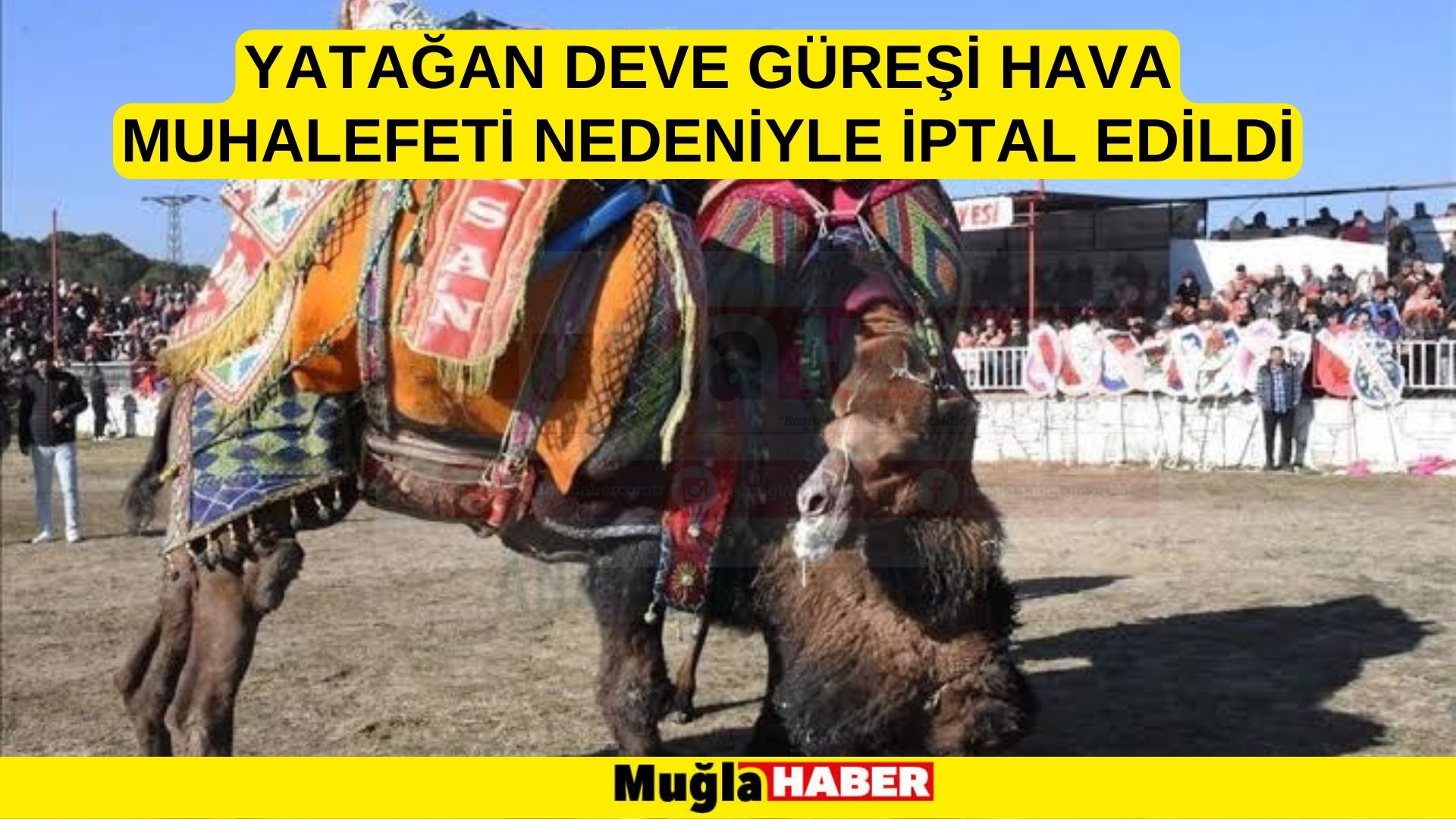 YATAĞAN DEVE GÜREŞİ HAVA MUHALEFETİ NEDENİYLE İPTAL EDİLDİ