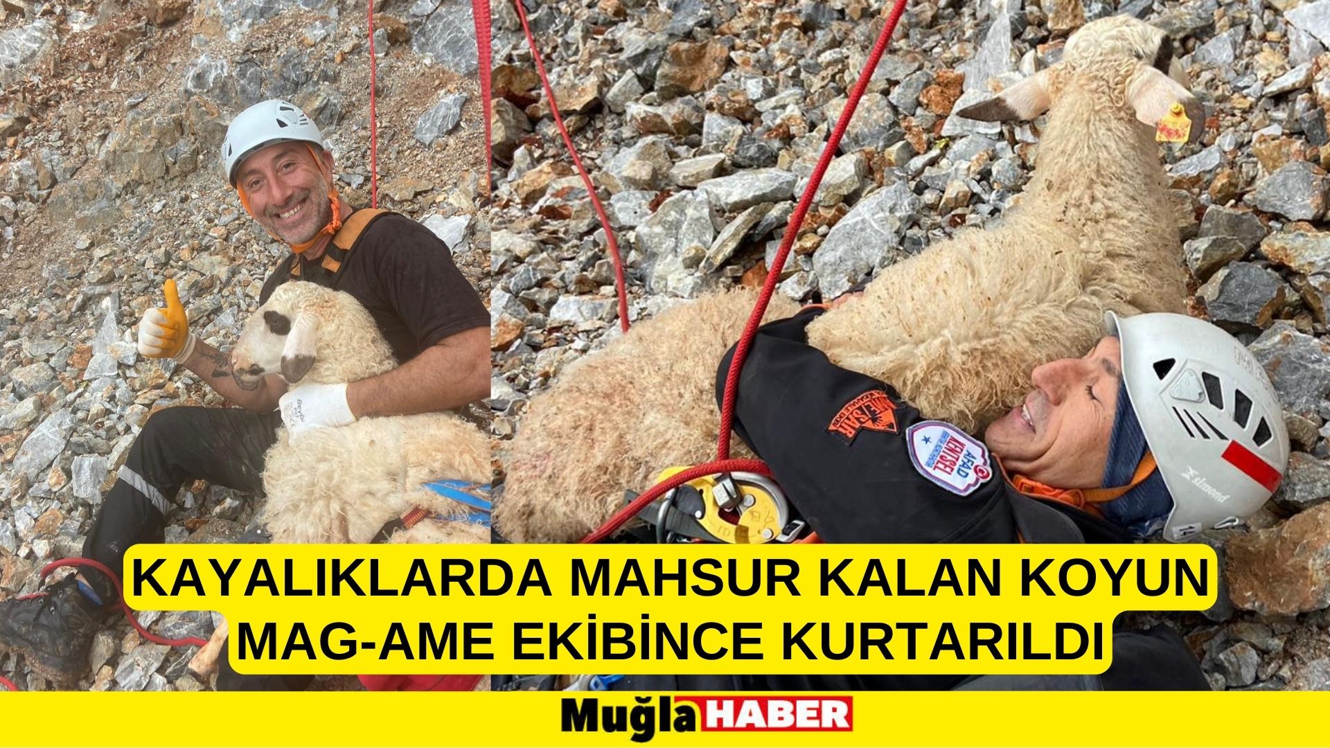 kayalıklarda mahsur kalan koyun MAG-AME ekibince kurtarıldı