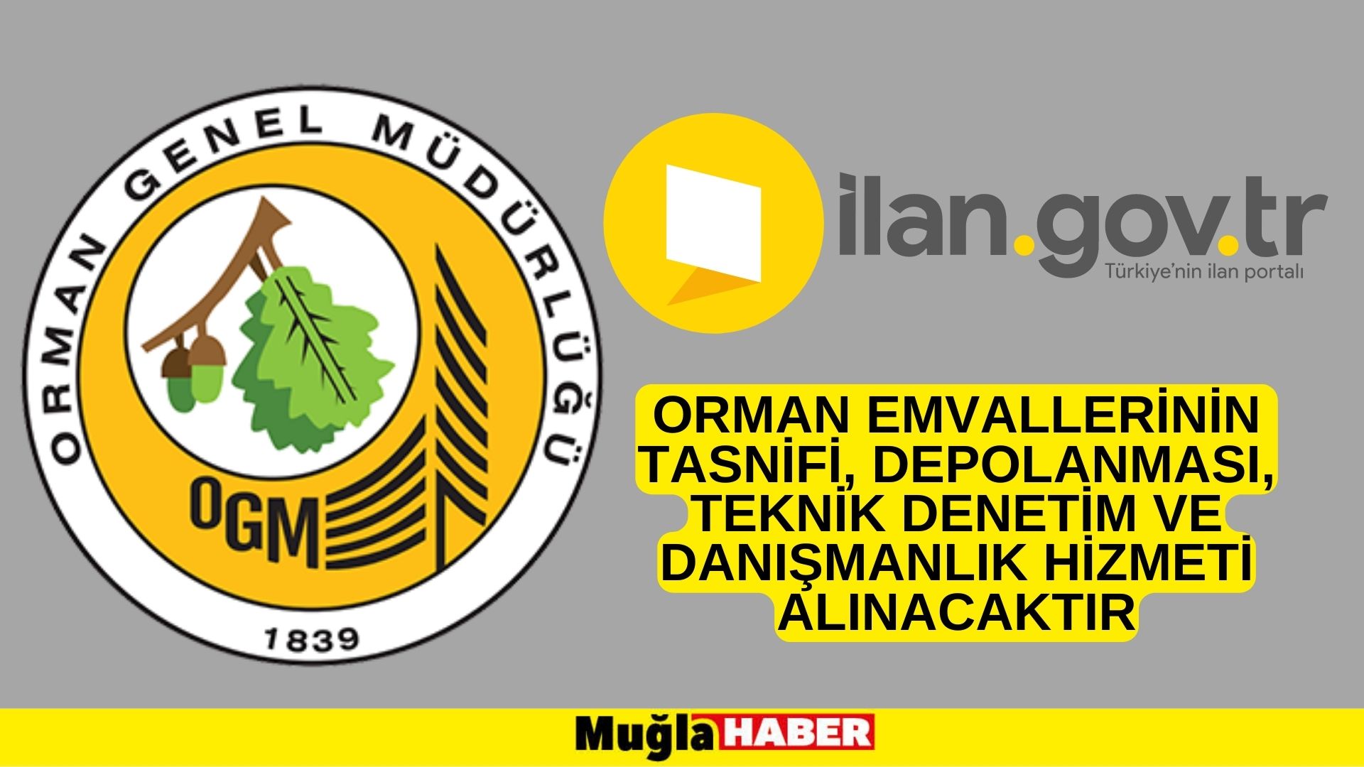 Orman emvallerinin tasnifi, depolanması, teknik denetim ve danışmanlık hizmeti alınacaktır