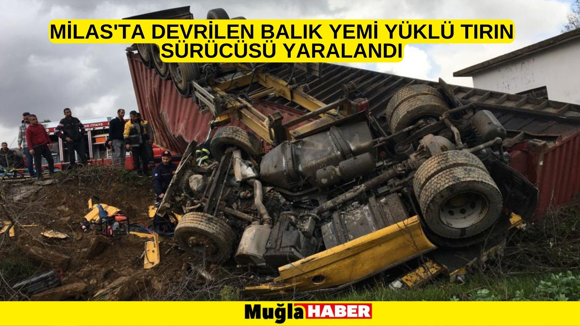 Milas'ta devrilen balık yemi yüklü tırın sürücüsü yaralandı