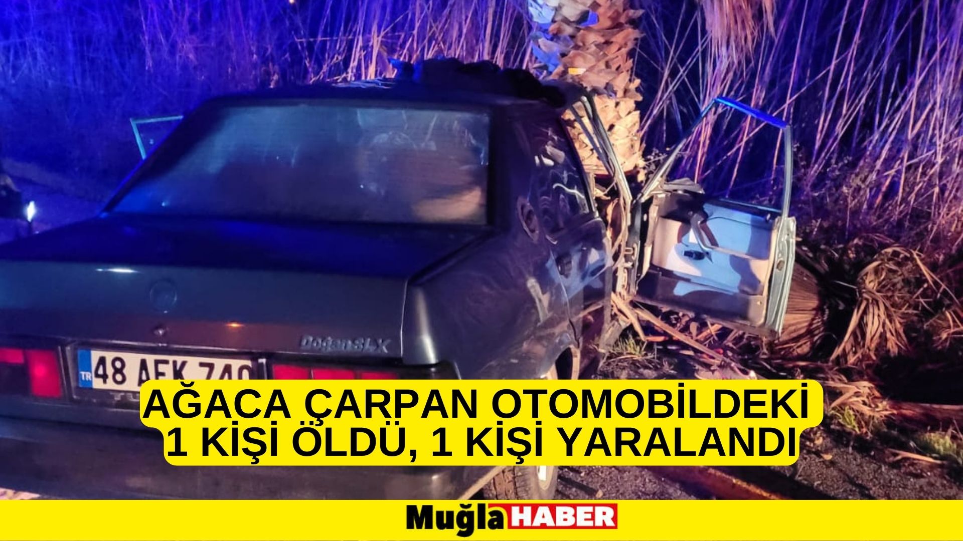 Muğla'da ağaca çarpan otomobildeki 1 kişi öldü, 1 kişi yaralandı