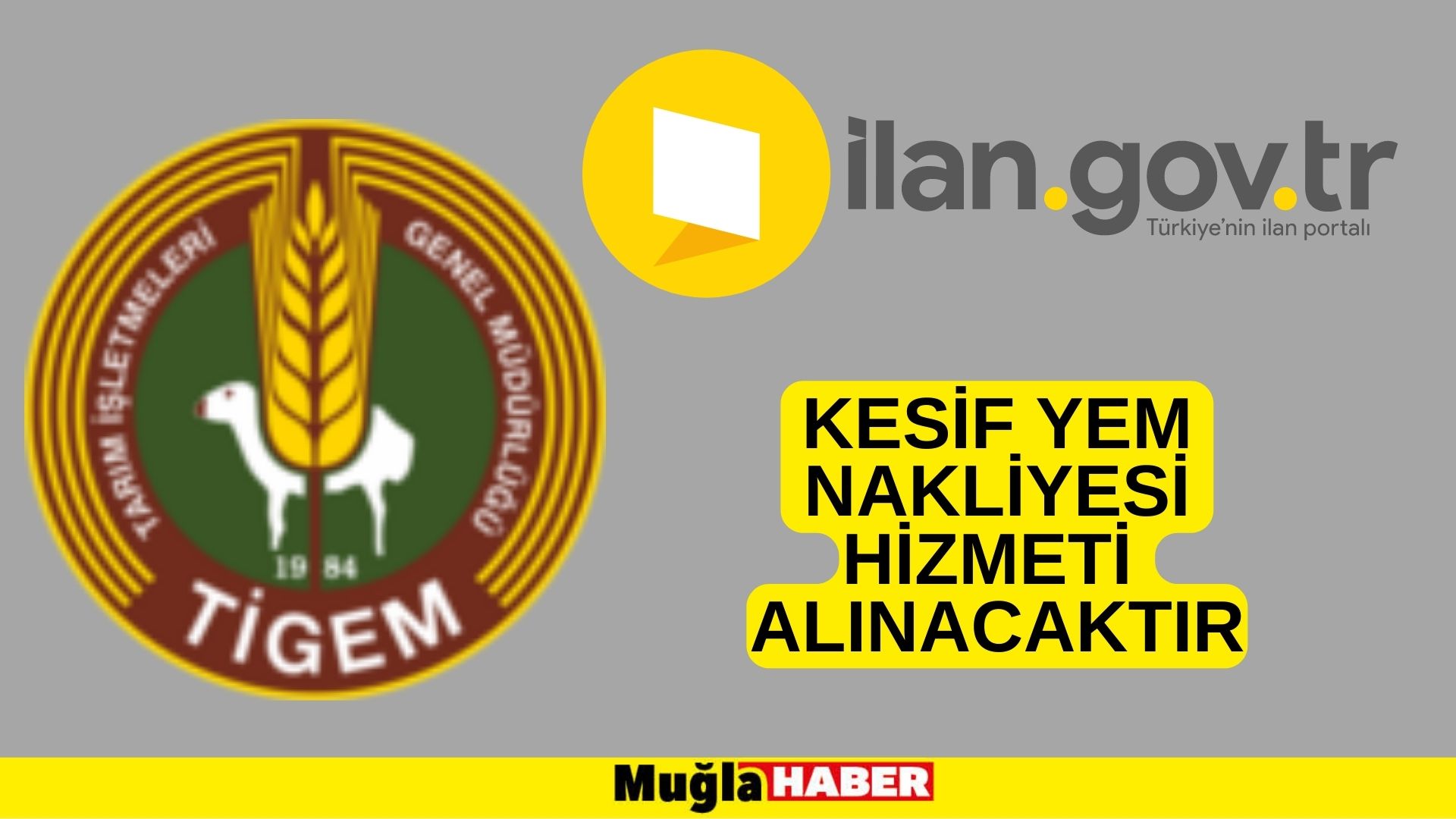 Kesif yem nakliyesi hizmeti alınacaktır