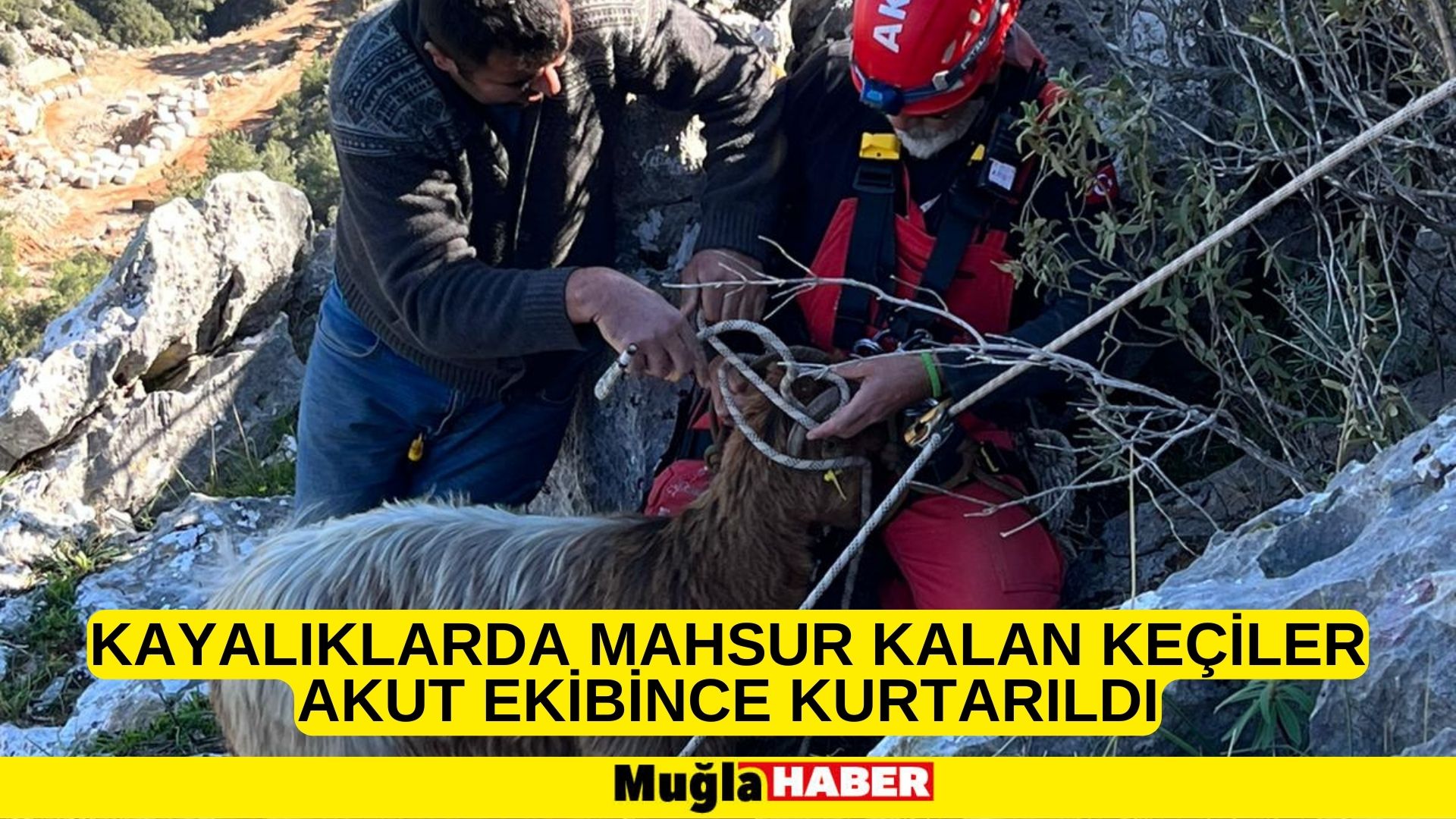 Muğla'da kayalıklarda mahsur kalan keçiler AKUT ekibince kurtarıldı