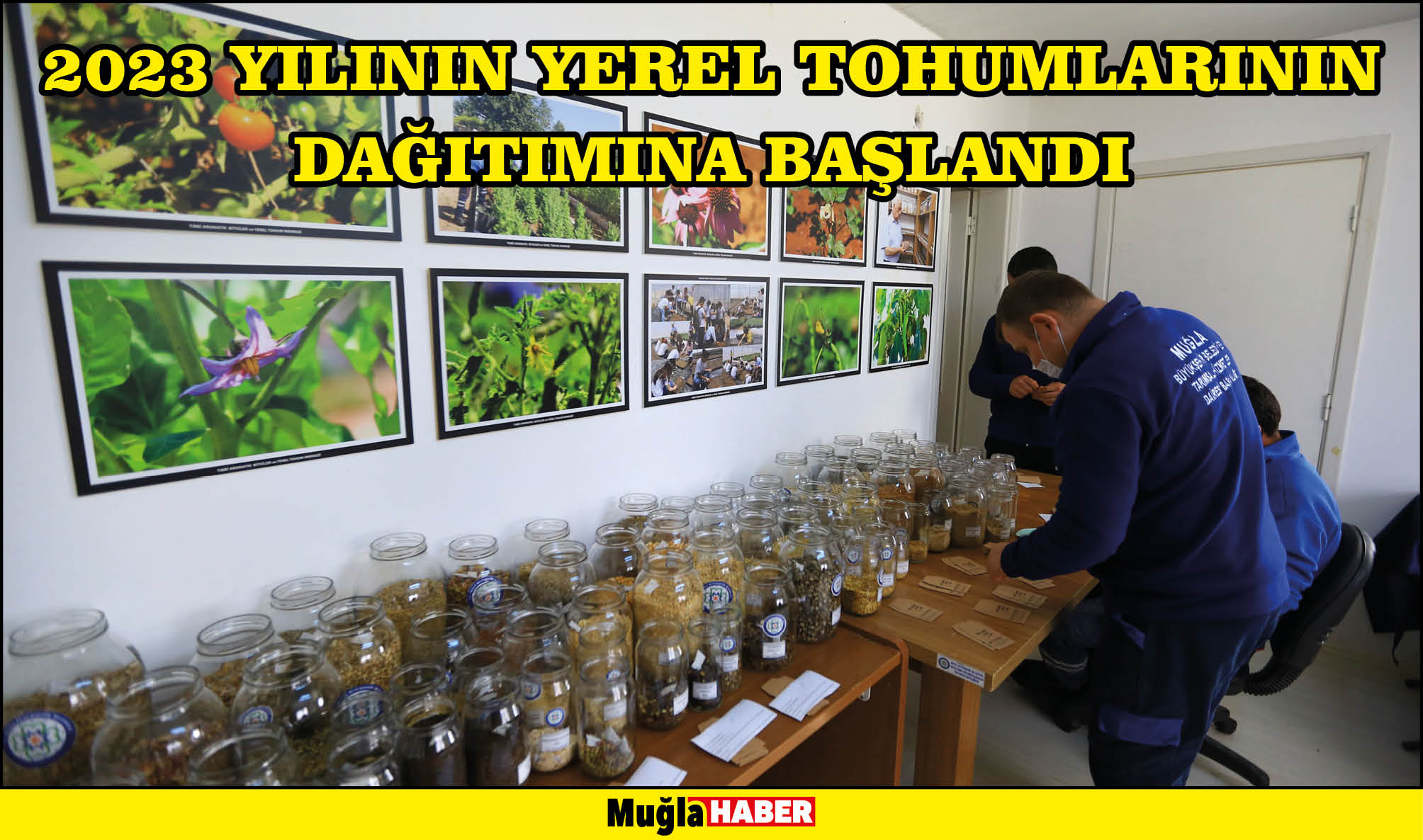 2023 Yılının Yerel Tohumlarının Dağıtımına Başlandı