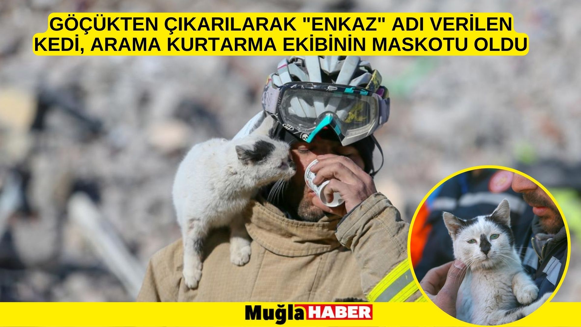 Göçükten çıkarılarak "Enkaz" adı verilen kedi, arama kurtarma ekibinin maskotu oldu