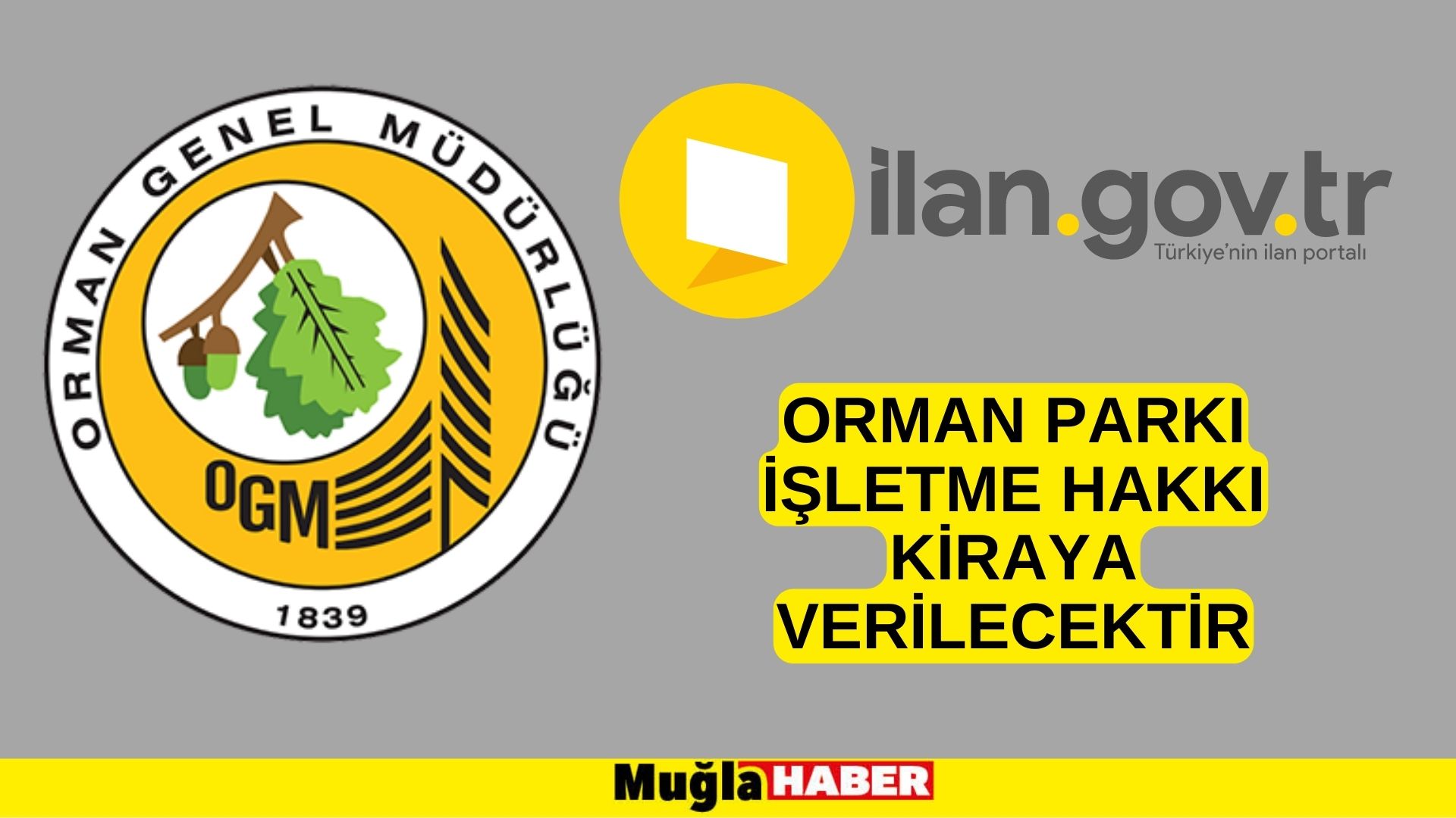 Orman parkı işletme hakkı kiraya verilecektir