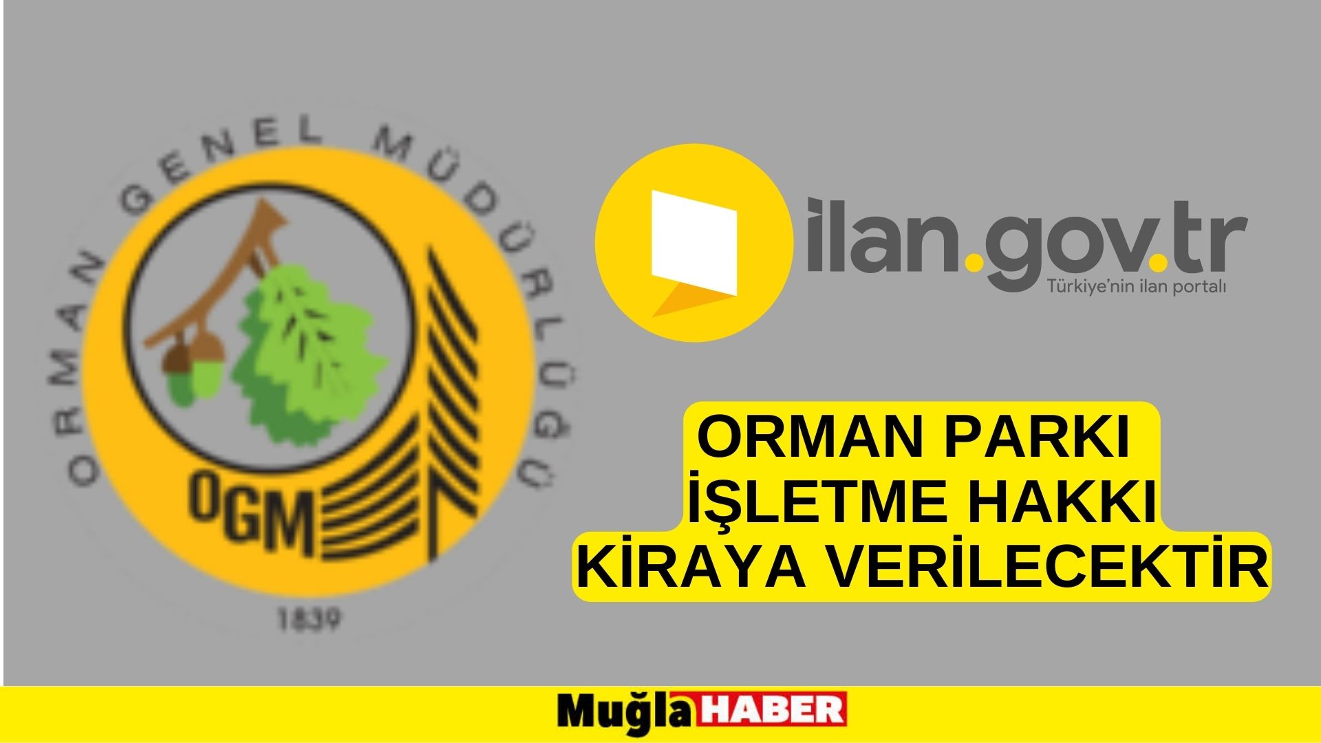 Orman parkı işletme hakkı kiraya verilecektir