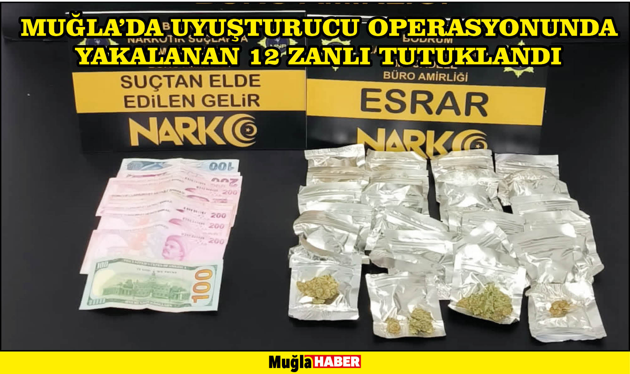 Muğla'da uyuşturucu operasyonunda yakalanan 12 zanlı tutuklandı