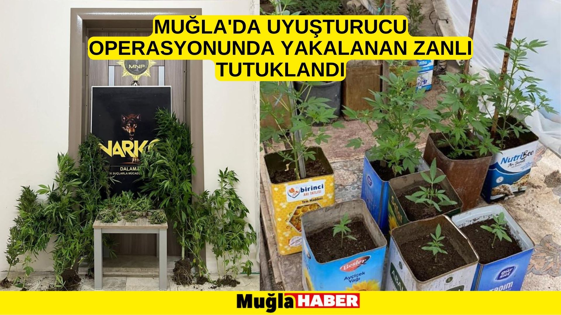 Muğla'da uyuşturucu operasyonunda yakalanan zanlı tutuklandı