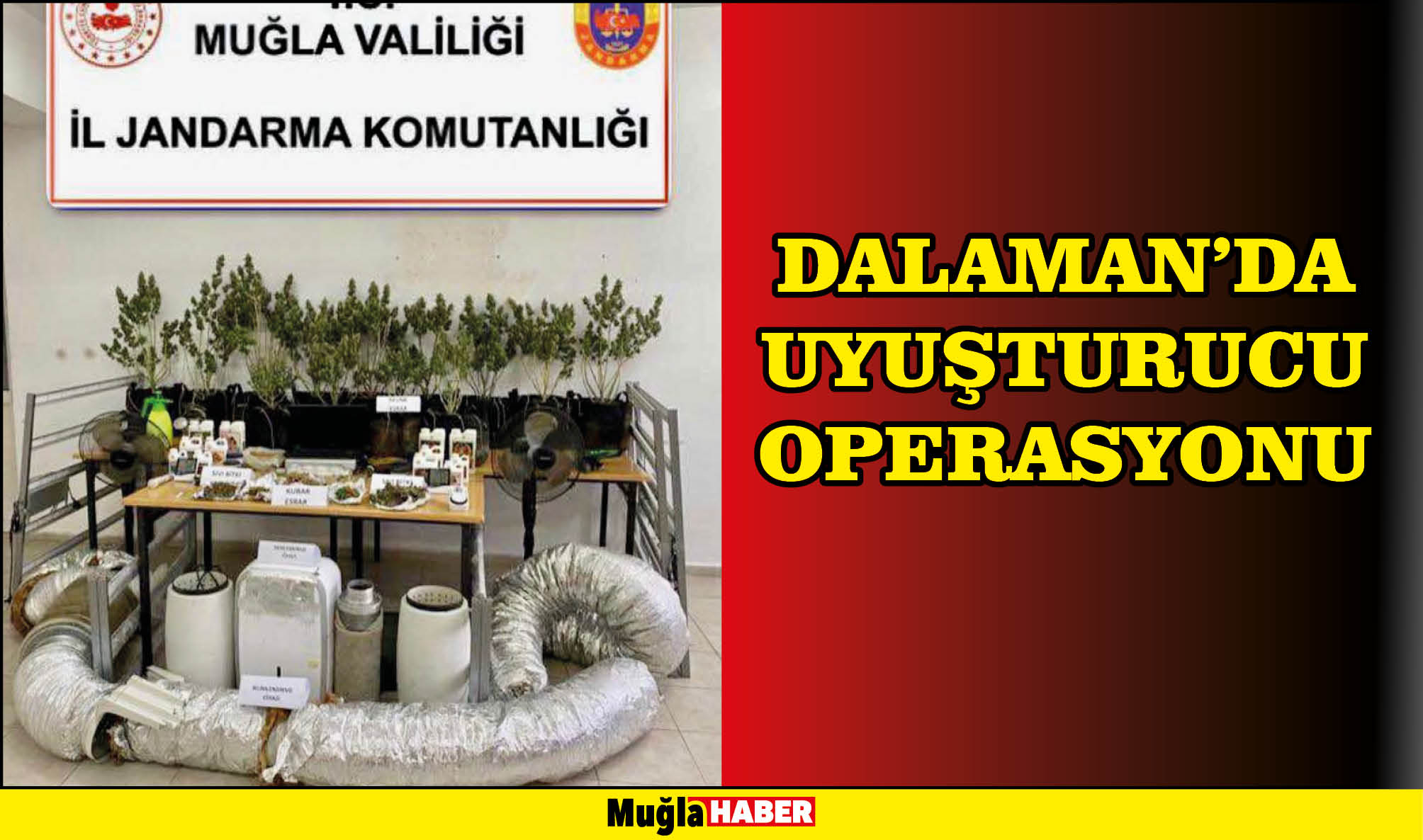 DALAMAN’DA UYUŞTURUCU OPERASYONU