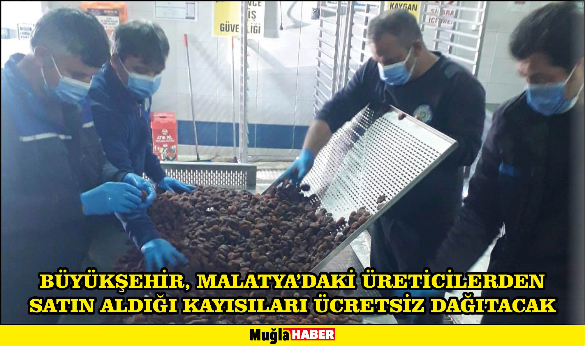    BÜYÜKŞEHİR, MALATYA’DAKİ ÜRETİCİLERDEN SATIN ALDIĞI KAYISILARI ÜCRETSİZ DAĞITACAK