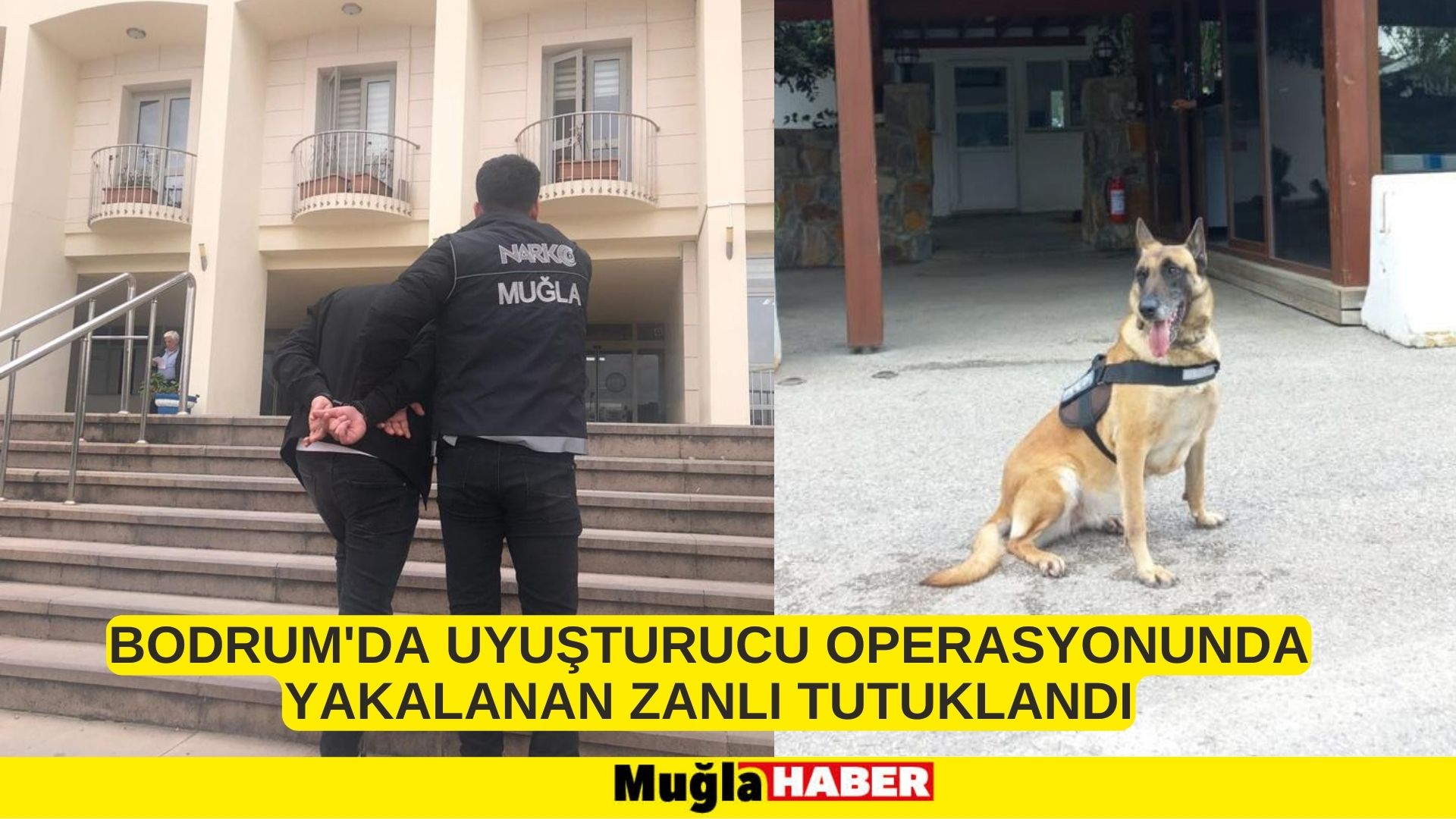 Bodrum'da uyuşturucu operasyonunda yakalanan zanlı tutuklandı