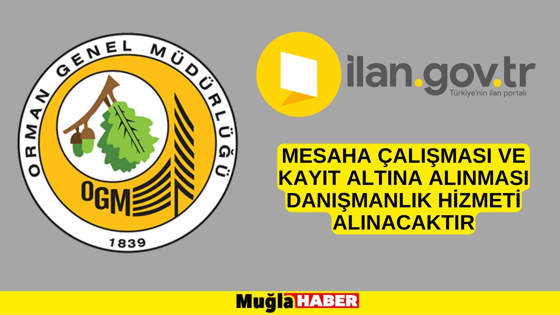 Mesaha çalışması ve kayıt altına alınması danışmanlık hizmeti alınacaktır