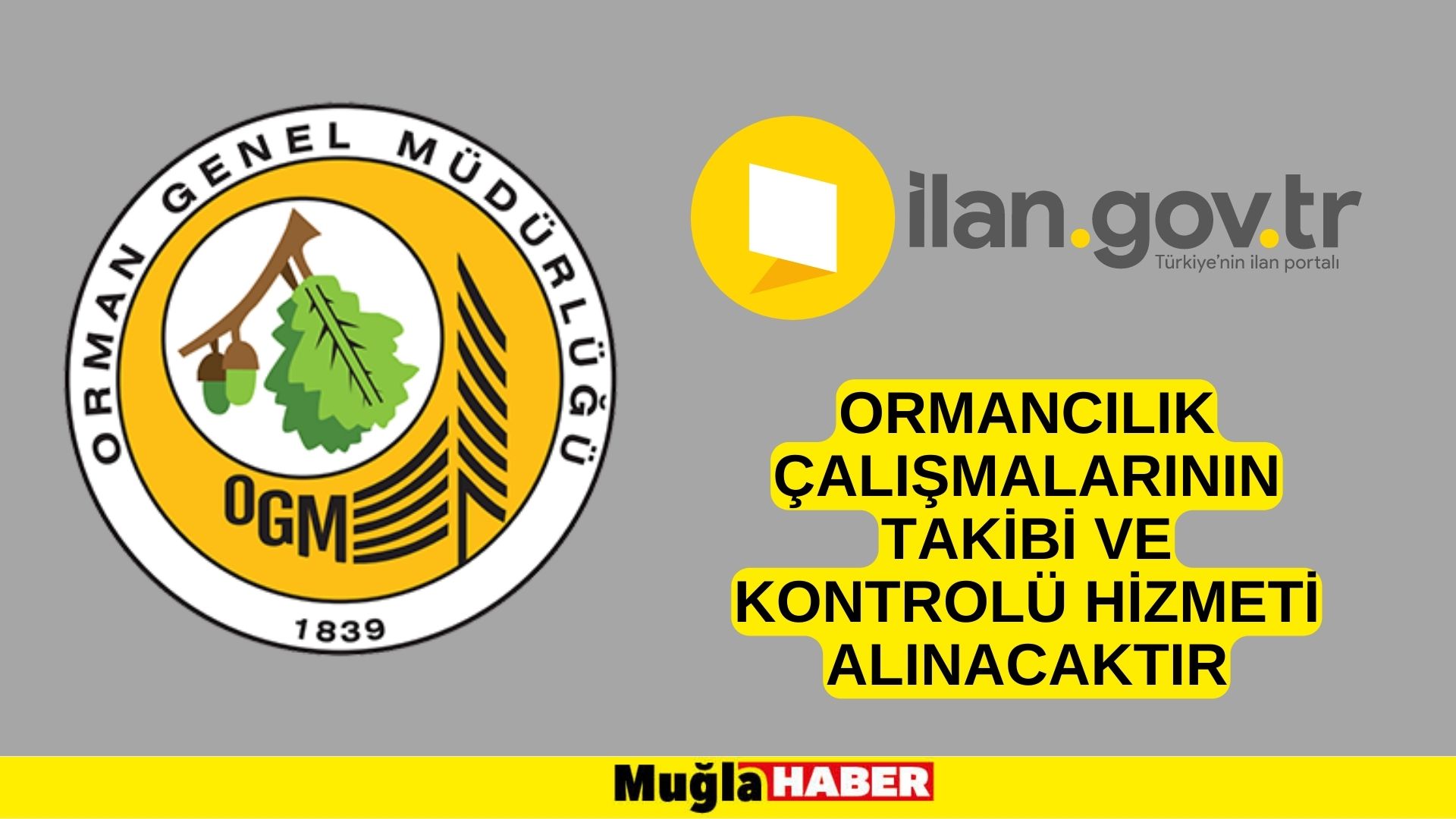 Ormancılık çalışmalarının takibi ve kontrolü hizmeti alınacaktır