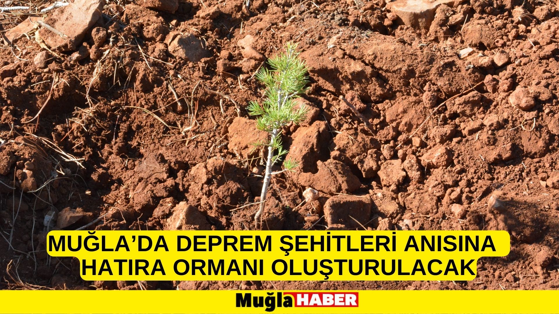 MUĞLA’DA DEPREM ŞEHİTLERİ ANISINA  HATIRA ORMANI OLUŞTURULACAK