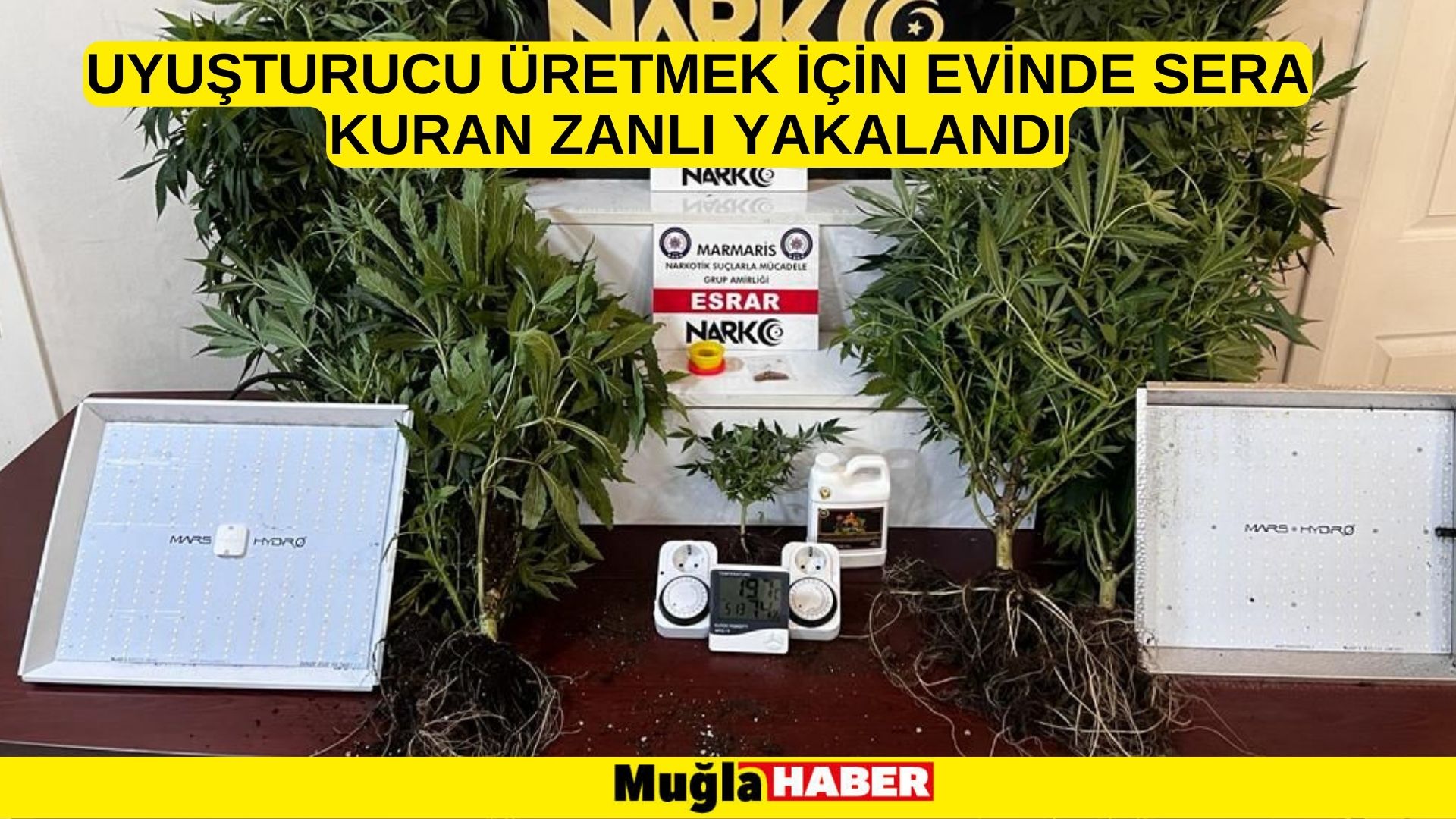 Muğla'da uyuşturucu üretmek için evinde sera kuran zanlı yakalandı