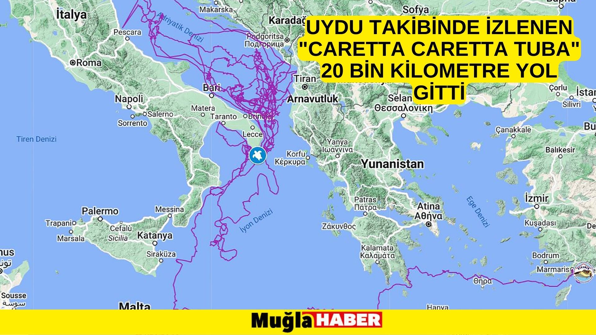 Uydu takibinde izlenen "Caretta Caretta Tuba" 20 bin kilometre yol gitti