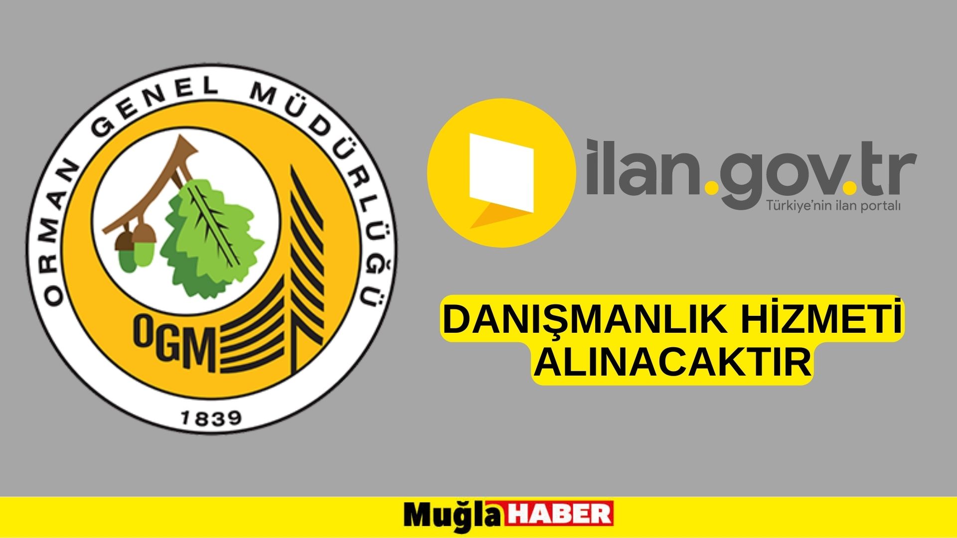 Danışmanlık hizmeti alınacaktır