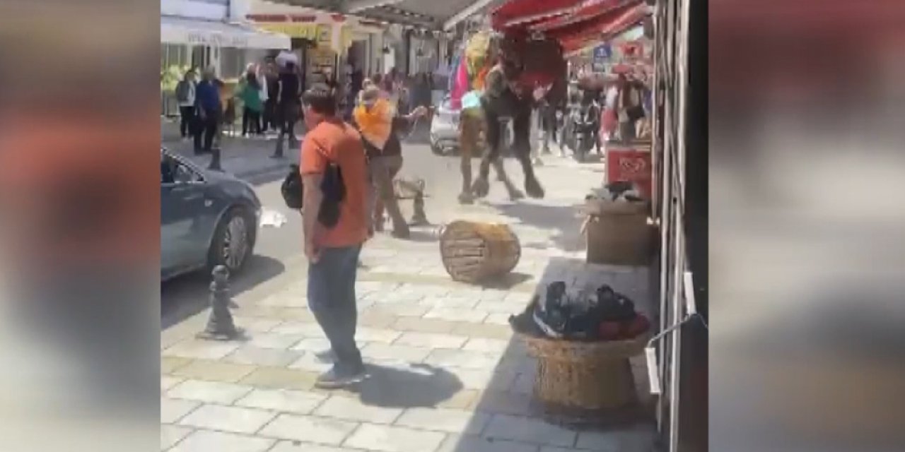 Bodrum'da ürken devenin panik anları kameraya yansıdı