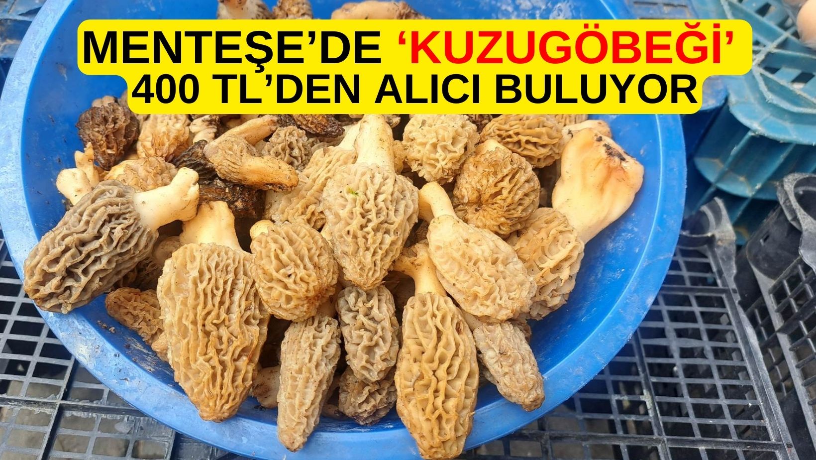 MENTEŞE’DE ‘KUZUGÖBEĞİ’ 400 TL’DEN ALICI BULUYOR