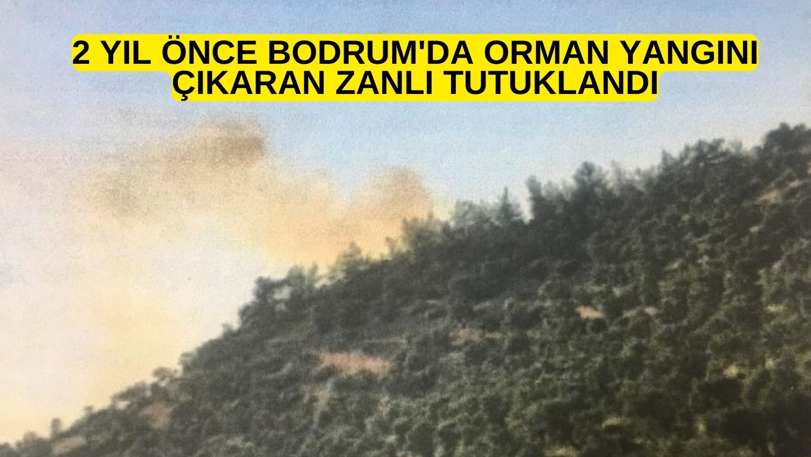 2 yıl önce Bodrum'da orman yangını çıkaran zanlı tutuklandı