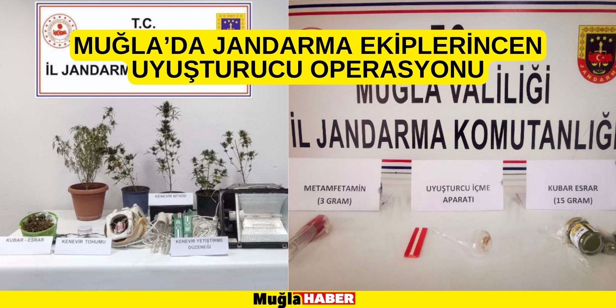 MUĞLA’DA JANDARMA EKİPLERİNCEN UYUŞTURUCU OPERASYONU