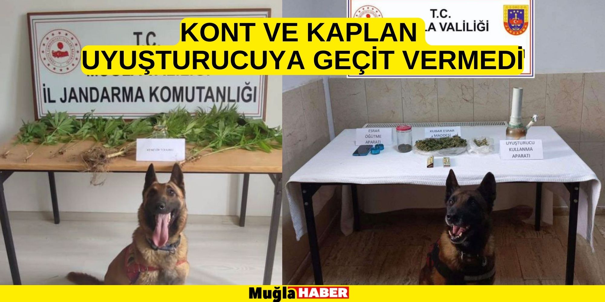 KONT VE KAPLAN UYUŞTURUCUYA GEÇİT VERMEDİ