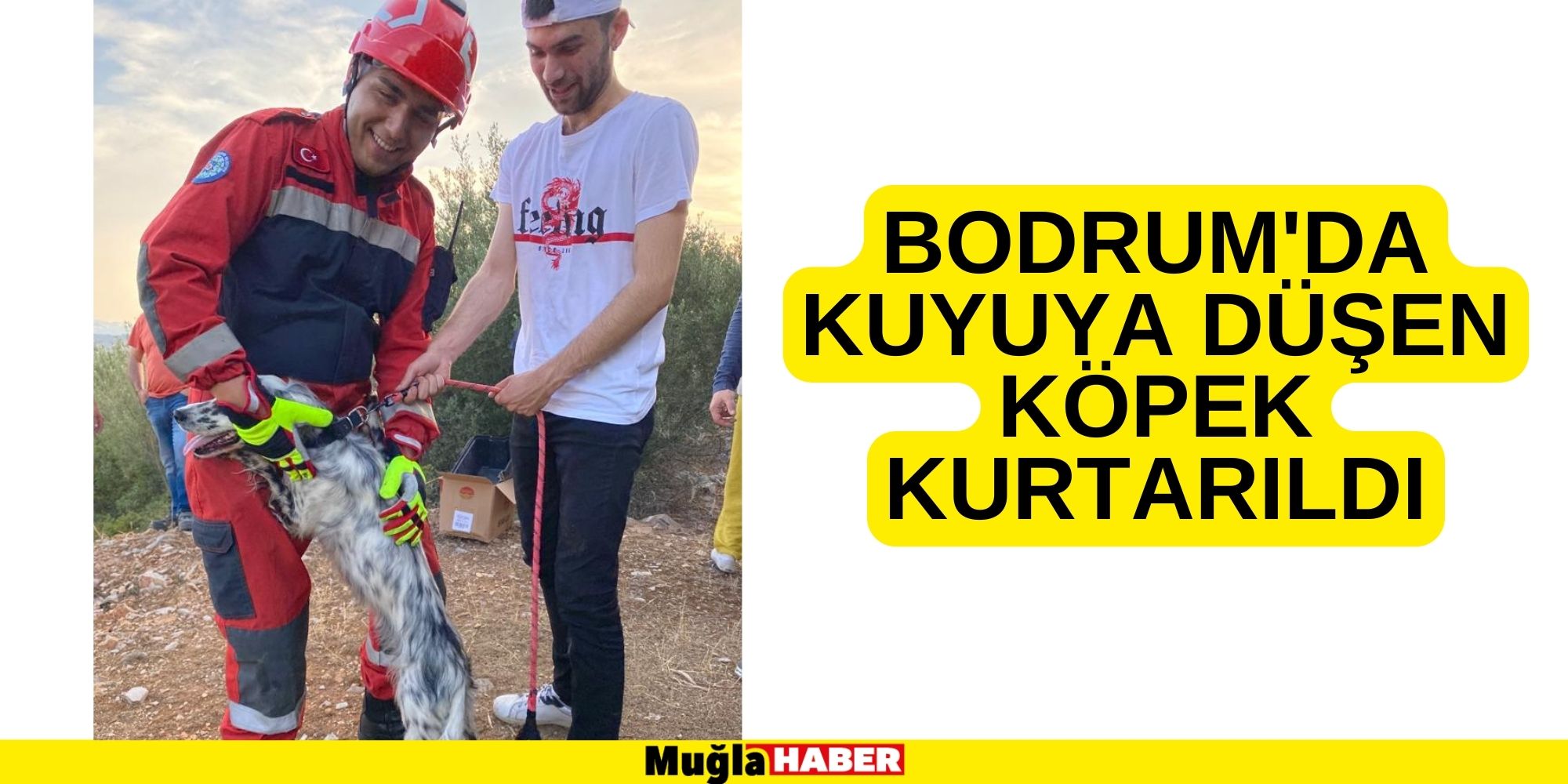 Bodrum'da kuyuya düşen köpek kurtarıldı